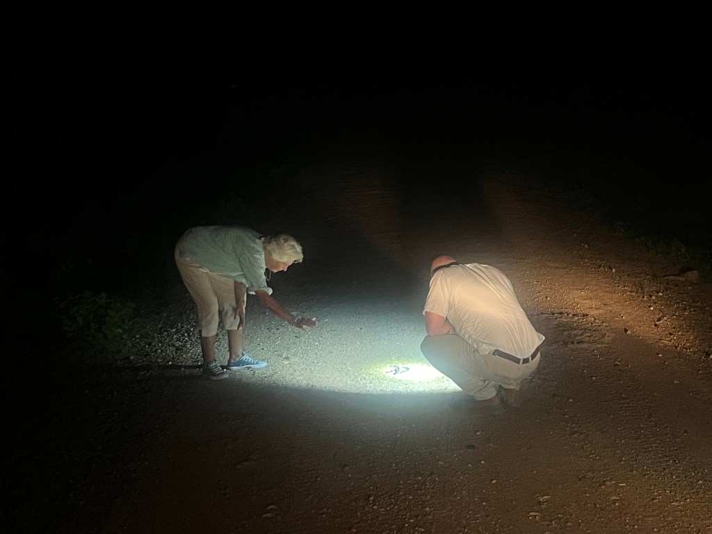 Und dann kam Granny&nbsp;G!