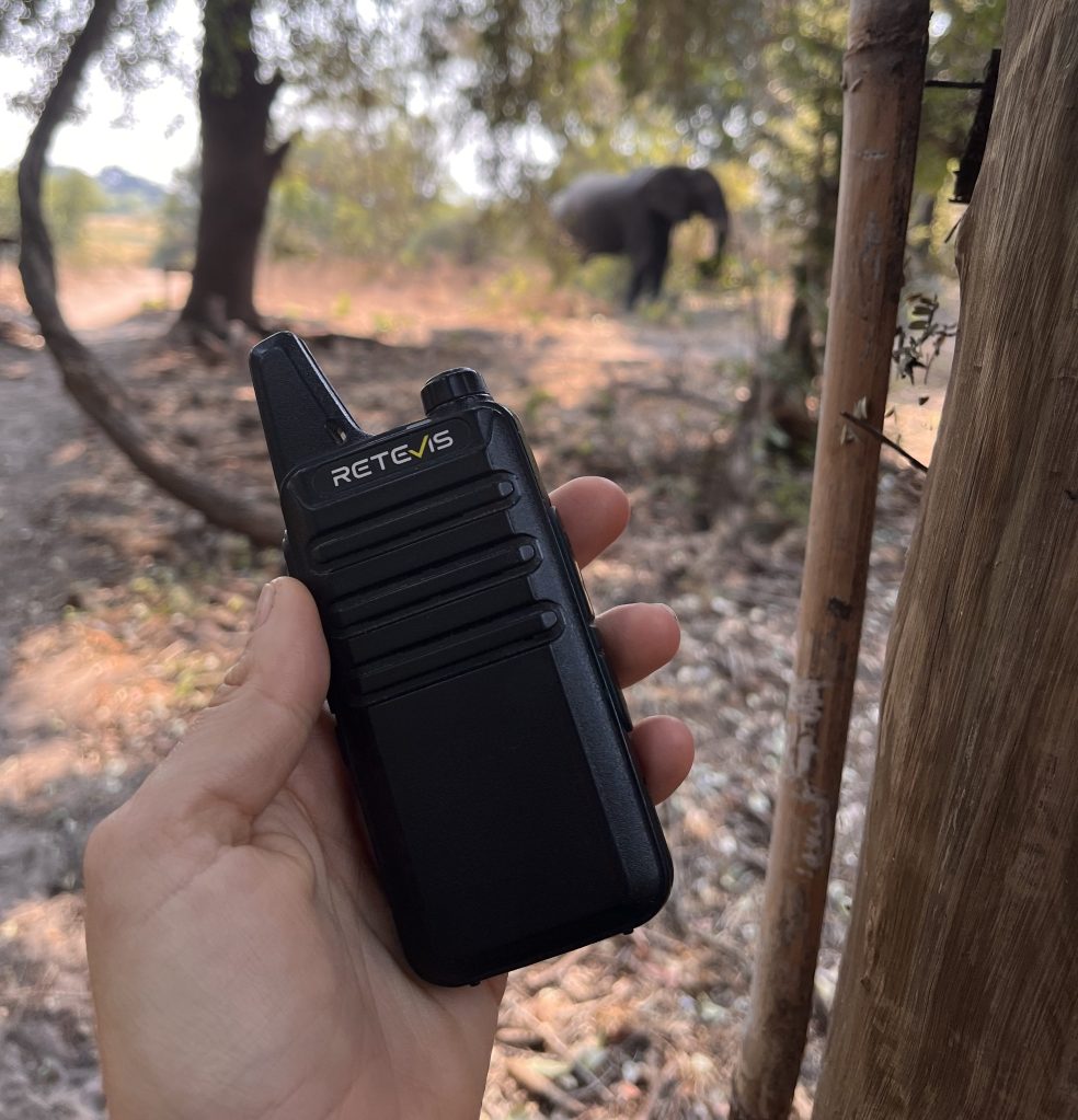Das Buschtelefon